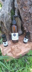 Bouteille d'Huile CBD Cévenole 40% Full Spectrum posée sur un tronc d'arbre en nature.