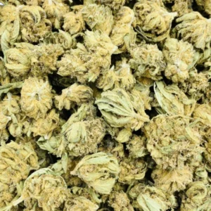 Fleurs CBD Lemon Skunk en gros plan, manucurées à la main